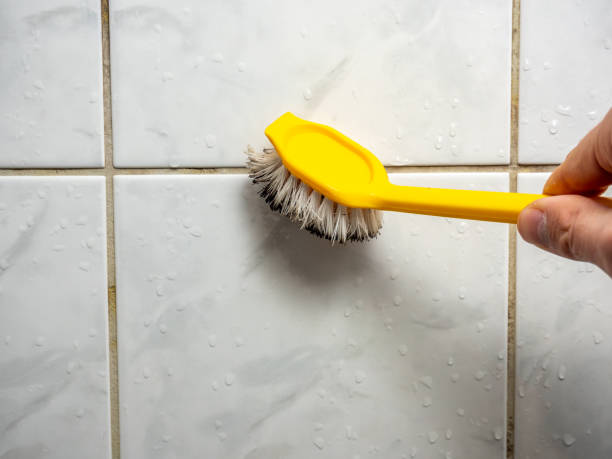 Best DIY Mold Remediation Support Services in Ridgewood, NJ