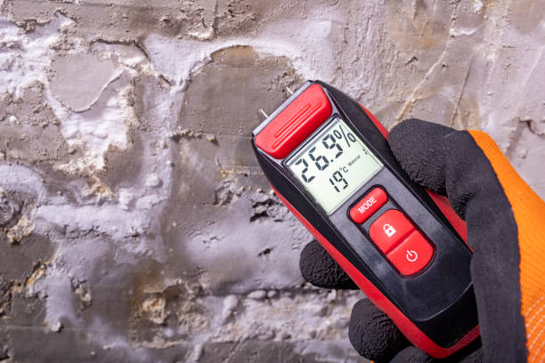 Best Mold Remediation for Specific Building Types in Ridgewood, NJ