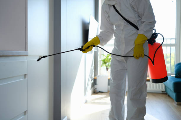 Best Bathroom Mold Remediation in Ridgewood, NJ